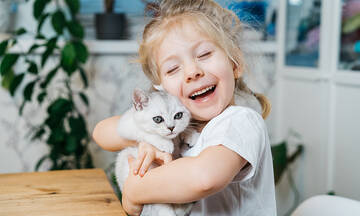 Ψύλλοι και γάτα - Μυστικά για πρόληψη και αντιμετώπιση στο σπίτι