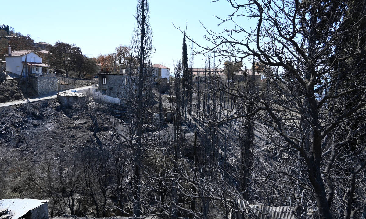Φωτιές: Αύξηση κατά 43% στις δασικές πυρκαγιές στη χώρα - 500% αυξήθηκε η καμμένη έκταση