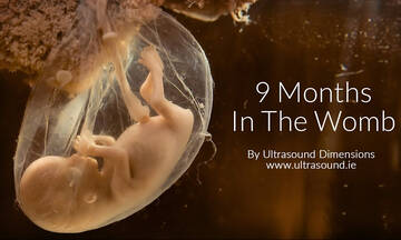 Βίντεο δείχνει πώς μεγαλώνει το έμβρυο μέσα στη μήτρα εβδομάδα με την εβδομάδα
