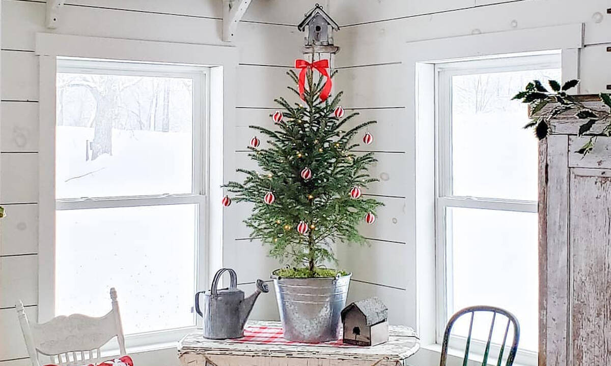 Επιτραπέζια χριστουγεννιάτικα δέντρα: Όμορφες ιδέες για το σπίτι σας 