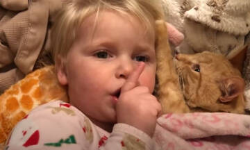 Νήπιο απαιτεί να κάνουν ησυχία οι γονείς της για να κοιμηθεί με την γάτα της (vid)