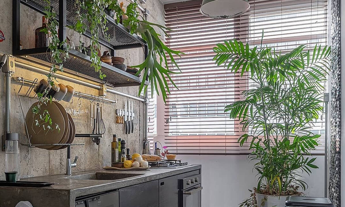 Tips για μαμάδες: Φυτά εσωτερικού χώρου στην κουζίνα - Ιδέες διακόσμησης