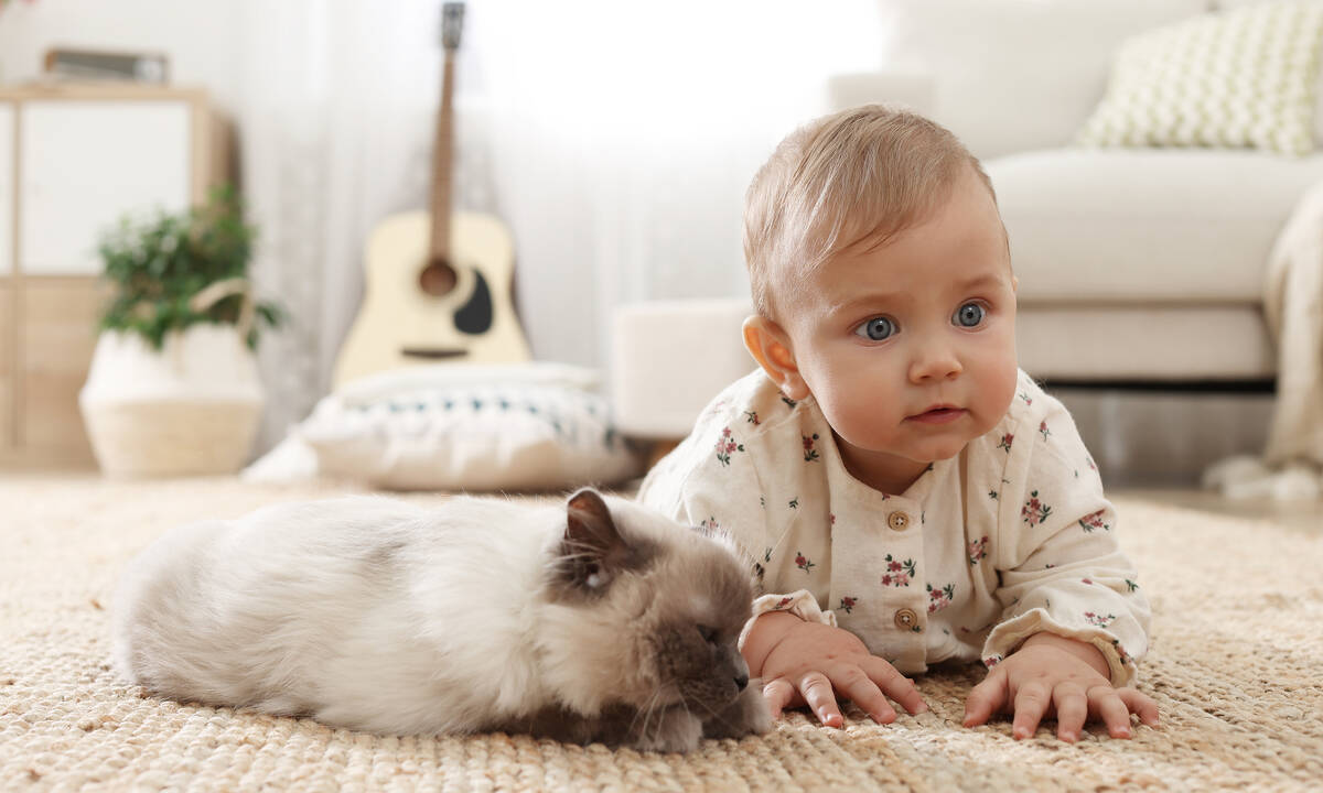 Γάτες σε ρόλο babysitter - Τα στιγμιότυπα που έχουν γίνει viral (vid)