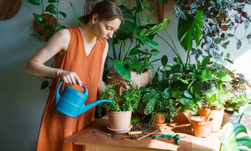 Tips για μαμάδες: Πώς θα ξέρετε αν τα φυτά σας θέλουν πότισμα 