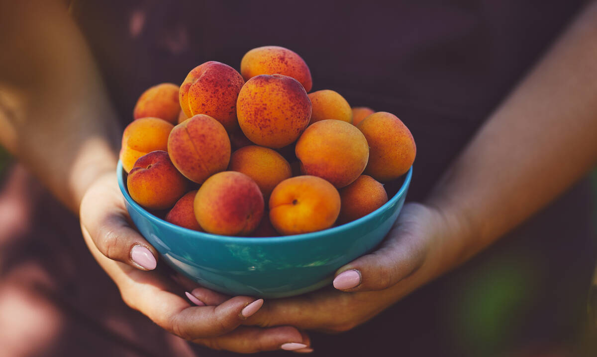 Μαμά και διατροφή: Δέκα καλοκαιρινά φρούτα για απώλεια βάρους και ενυδάτωση