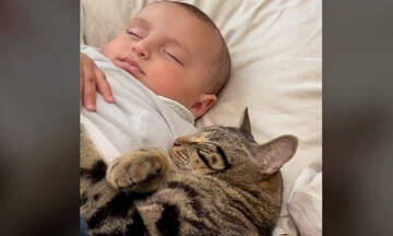 Μωράκι κοιμάται αγκαλιά με τη γάτα - Το βίντεο που έγινε viral
